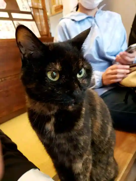 五十稲荷神社(栄寿稲荷神社)(東京都)