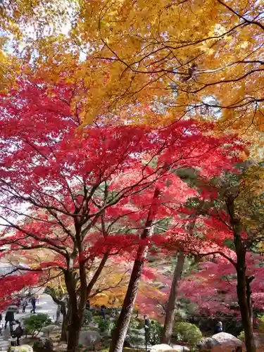 洞窟観音・徳明園・山徳記念館の景色