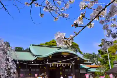 日枝神社(静岡県)