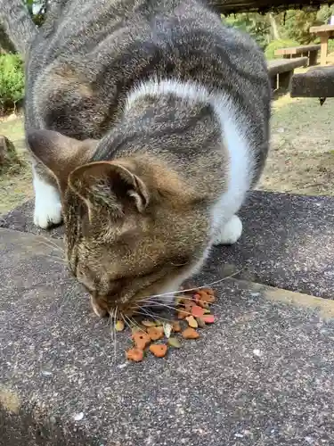 玉野御嶽神社の動物