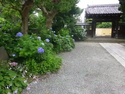 實相寺（実相寺）の山門