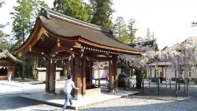 多賀大社の手水舎