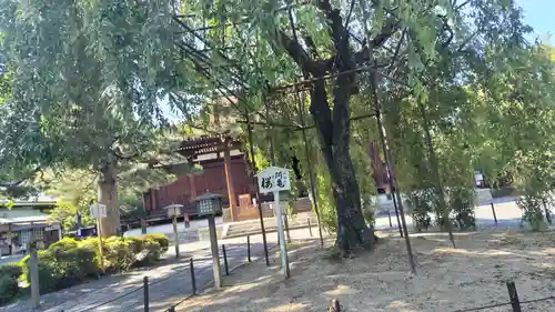 大報恩寺（千本釈迦堂）(京都府)