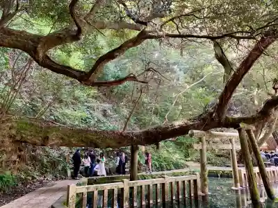 鹿島神宮(茨城県)