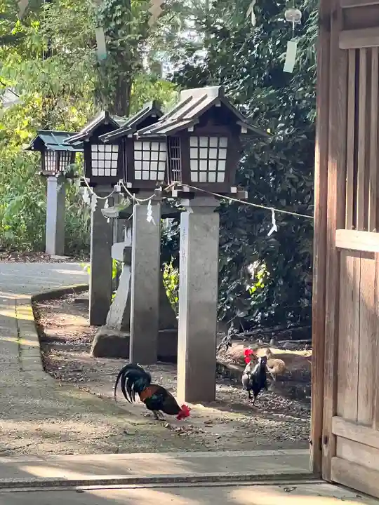 伊佐須美神社(福島県)