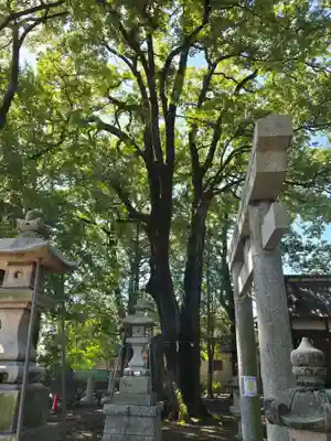 春日神社(埼玉県)