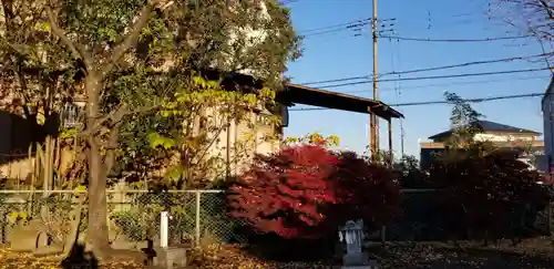 大瀬氷川神社(埼玉県)