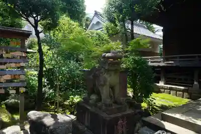 白山神社の狛犬