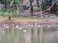 菊田神社の周辺