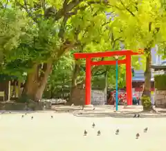 長田神社の鳥居