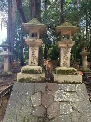 春日大社(奈良県)