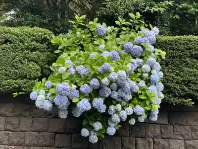 千鳥ヶ淵戦没者墓苑(東京都)