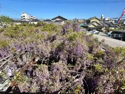 市場稲荷神社(大阪府)