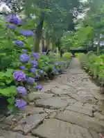 本光寺(愛知県)