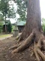 諏訪神社(千葉県)