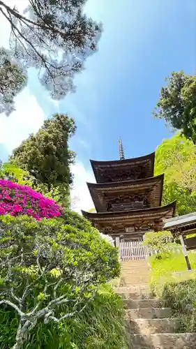 国宝 大法寺(長野県)