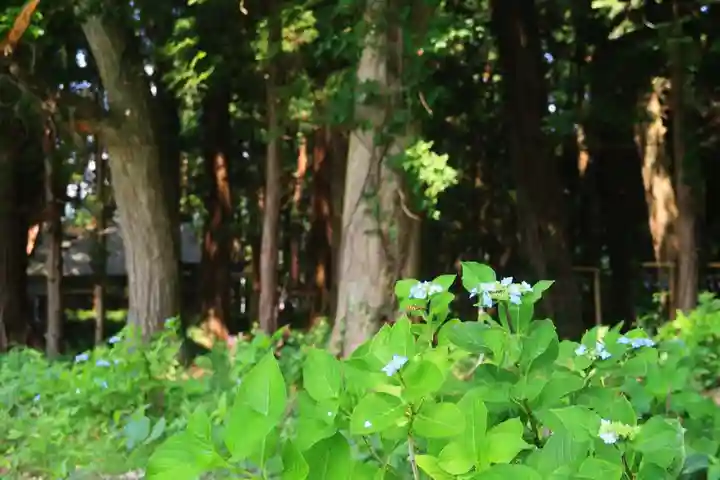 岩上神社の景色