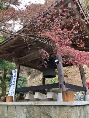 大山寺(神奈川県)