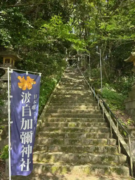 日本唯一香辛料の神 波自加彌神社の{uncategorized: "未分類", other: "その他", undefined: "問題あり", building: "その他建物", grave: "お墓", sacred_gate: "鳥居", guardian: "狛犬", statue: "像", buddha: "仏像", history: "歴史", nature: "自然", garden: "庭園", animal: "動物", pagoda: "塔", temizu: "手水舎", mountain_gate: "山門・神門", sanctuary: "本殿・本堂", subordinate: "末社・摂社", art: "芸術", scenery: "景色", jizo: "地蔵", ema: "絵馬", goshuin: "御朱印", omikuji: "おみくじ", items: "授与品その他", amulet: "お守り", goshuincho: "御朱印帳", eats: "食事", festival: "お祭り", votive_dance: "神楽", shichigosan: "七五三参", wedding: "結婚式", experience: "体験その他", initially: "初詣", around: "周辺", anti_infection: "感染症対策"}