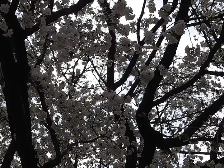 白山神社の自然