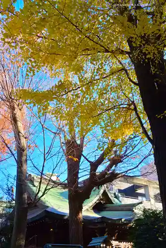 小野照崎神社(東京都)