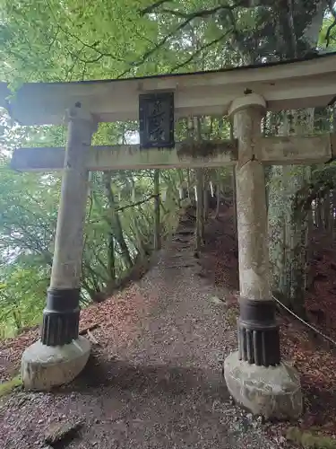 三峯神社(埼玉県)