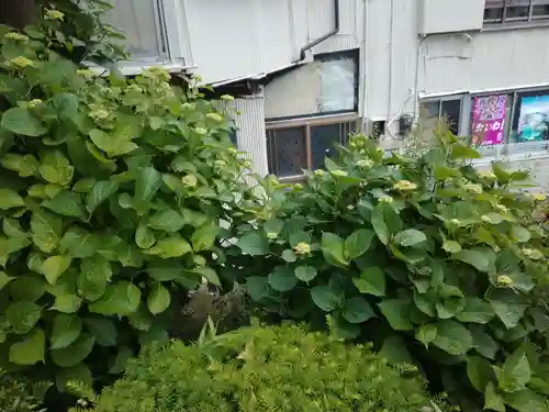 善了寺(神奈川県)