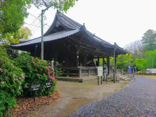 大御堂寺（野間大坊）の本殿・本堂
