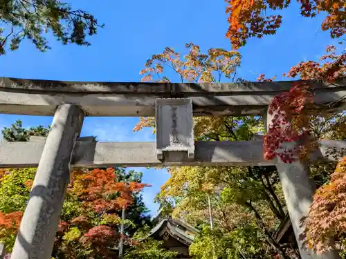 彌彦神社　(伊夜日子神社)の鳥居