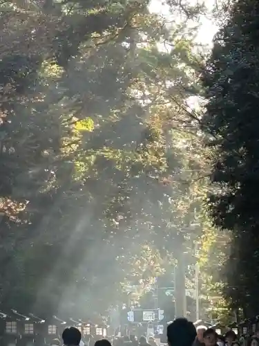 寒川神社の{uncategorized: "未分類", other: "その他", undefined: "問題あり", building: "その他建物", grave: "お墓", sacred_gate: "鳥居", guardian: "狛犬", statue: "像", buddha: "仏像", history: "歴史", nature: "自然", garden: "庭園", animal: "動物", pagoda: "塔", temizu: "手水舎", mountain_gate: "山門・神門", sanctuary: "本殿・本堂", subordinate: "末社・摂社", art: "芸術", scenery: "景色", jizo: "地蔵", ema: "絵馬", goshuin: "御朱印", omikuji: "おみくじ", items: "授与品その他", amulet: "お守り", goshuincho: "御朱印帳", eats: "食事", festival: "お祭り", votive_dance: "神楽", shichigosan: "七五三参", wedding: "結婚式", experience: "体験その他", initially: "初詣", around: "周辺", anti_infection: "感染症対策"}