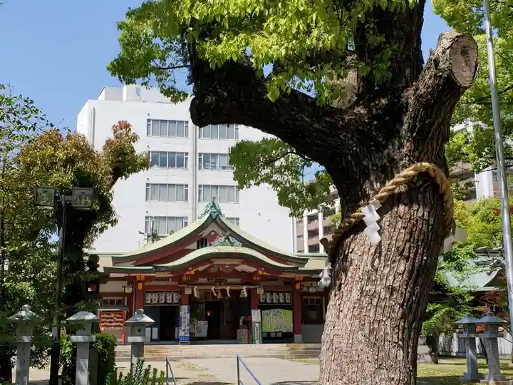 豊崎神社の本殿・本堂