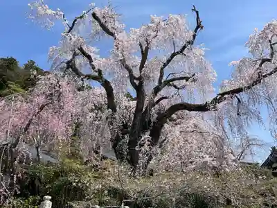 久遠寺(山梨県)