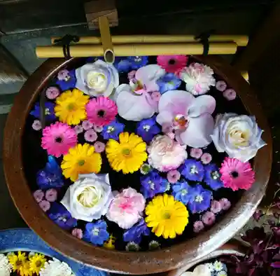 多賀神社の手水舎