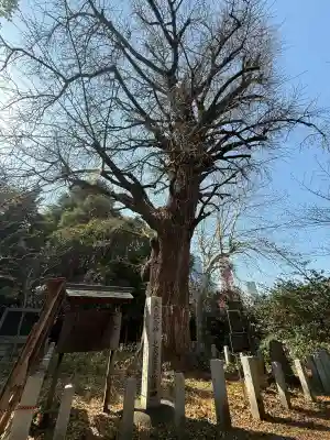 芝東照宮(東京都)