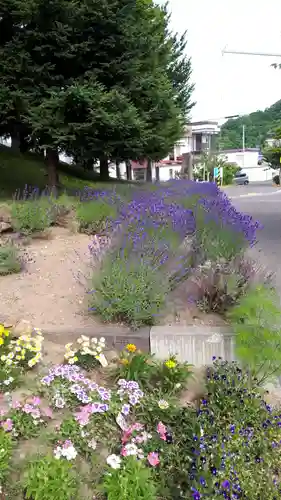 札幌南沢神社の周辺