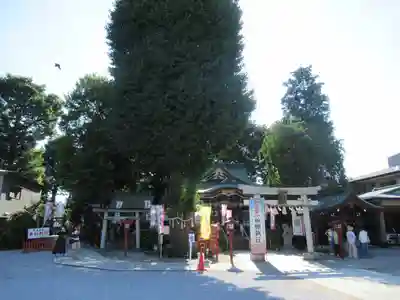 川越八幡宮の鳥居