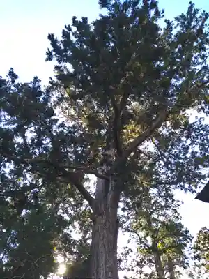 鹿島神宮(茨城県)