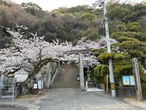 忌部神社(徳島県)