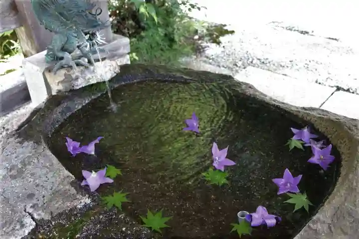 鹿島大神宮の手水舎