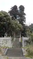 白山神社の自然
