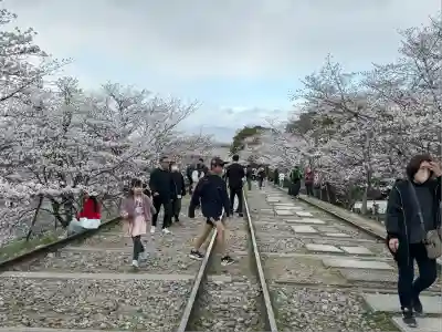 南禅寺(京都府)