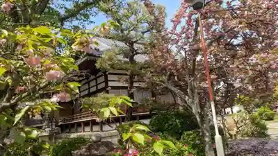 本満寺(本願満足寺)(京都府)