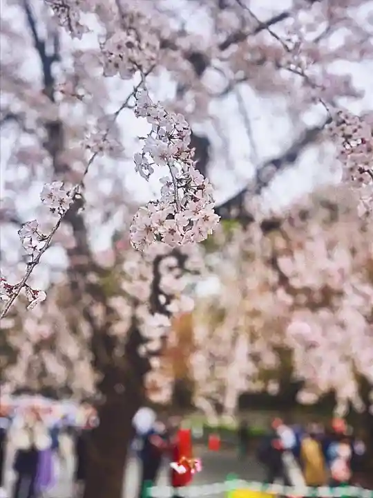 上野東照宮の自然