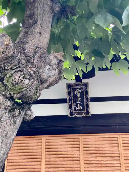 乗願寺(京都府)