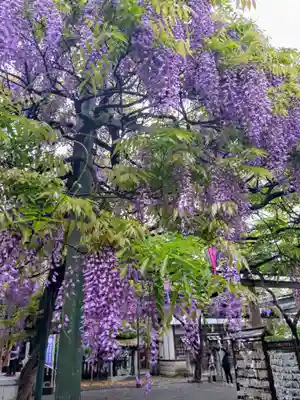 國領神社(東京都)