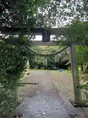 多美河津神社(愛知県)