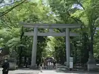 大國魂神社の鳥居