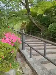 岡寺（龍蓋寺）の建物その他