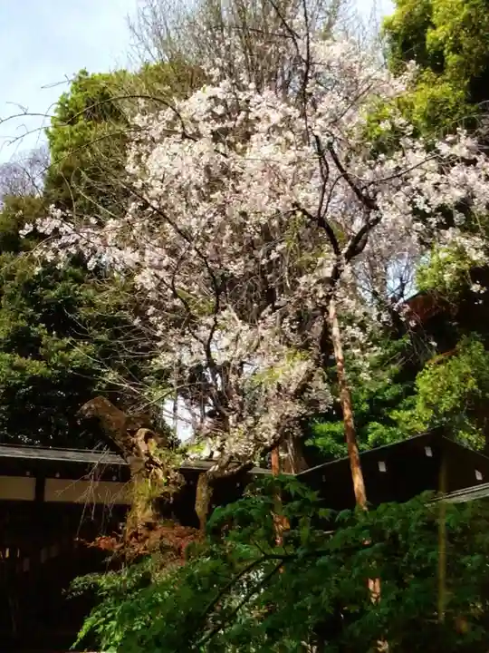乃木神社(東京都)