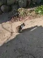 御袖天満宮(広島県)